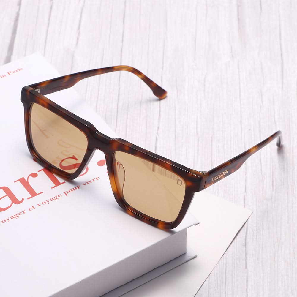 Dollger Square  Hipster Acetate Square Tinted Sunglasses