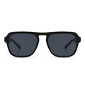 Dollger Acetate Aviator Tinted Sunglasses