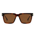 Dollger Square  Hipster Acetate Square Tinted Sunglasses