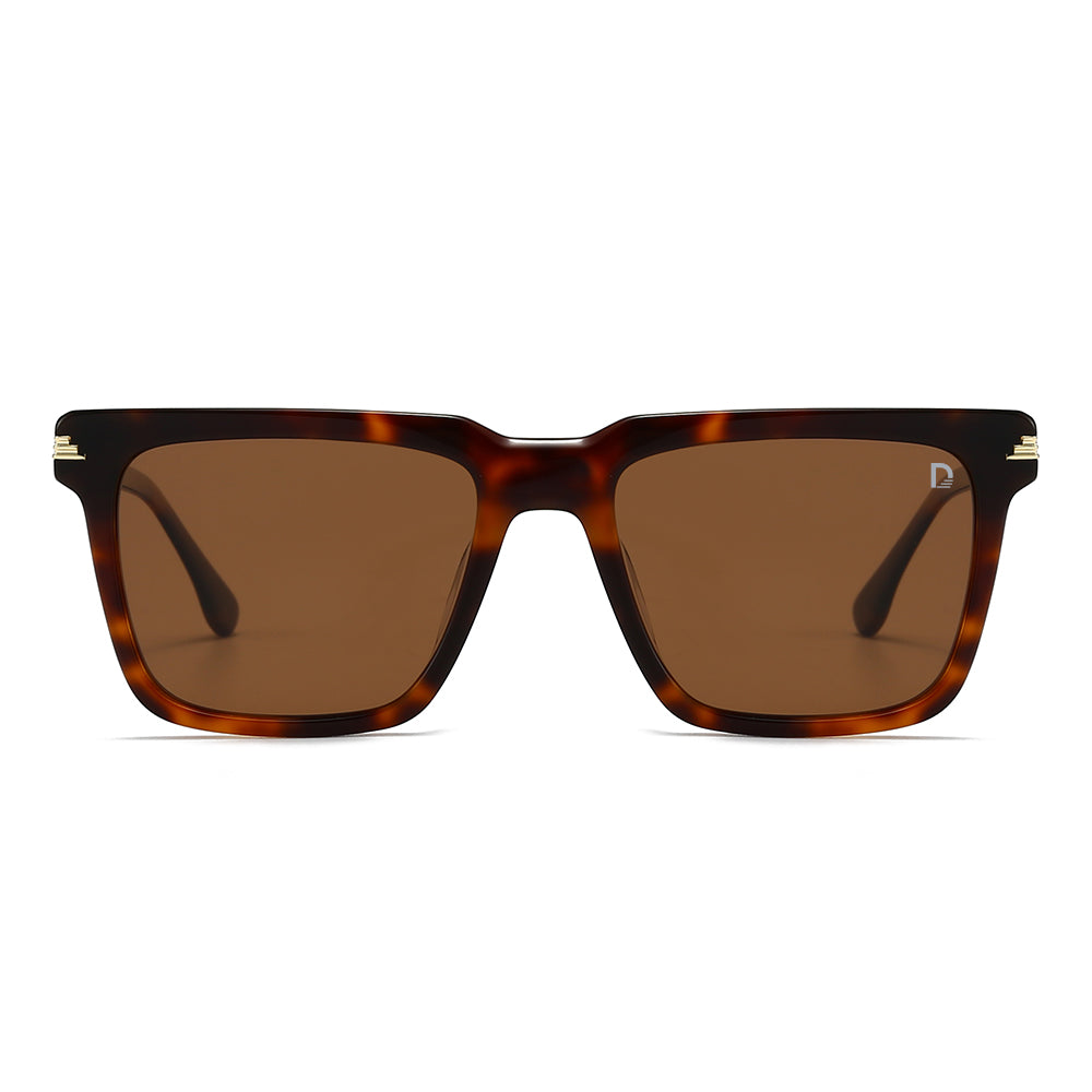 Dollger Square  Hipster Acetate Square Tinted Sunglasses