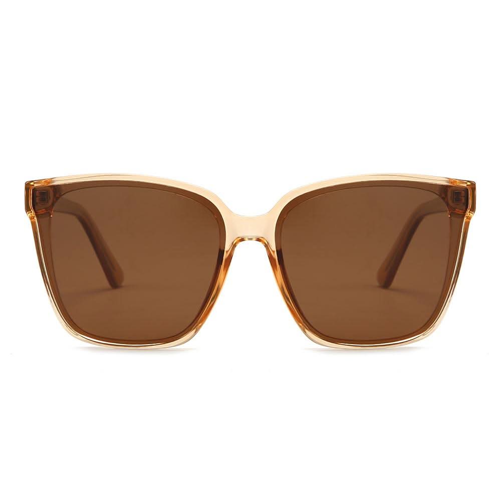 Dollger Bold Wayfare Cat Eye Sunglasses