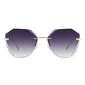 Dollger Irregular Round Tinted Sunglasses