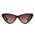 Dollger Acetate Cat-Eye Tinted Sunglasses